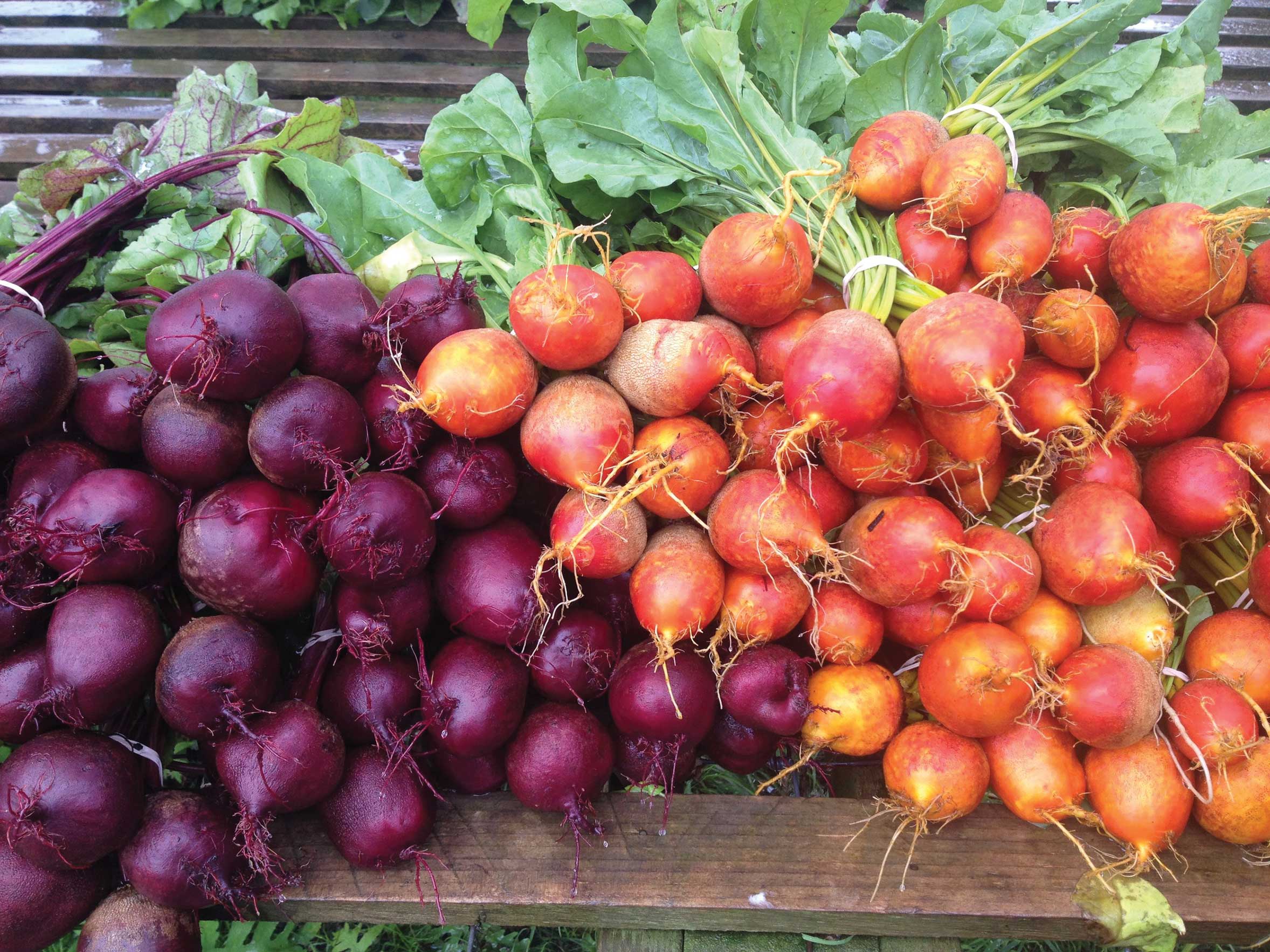 Farm to Kitchen Table