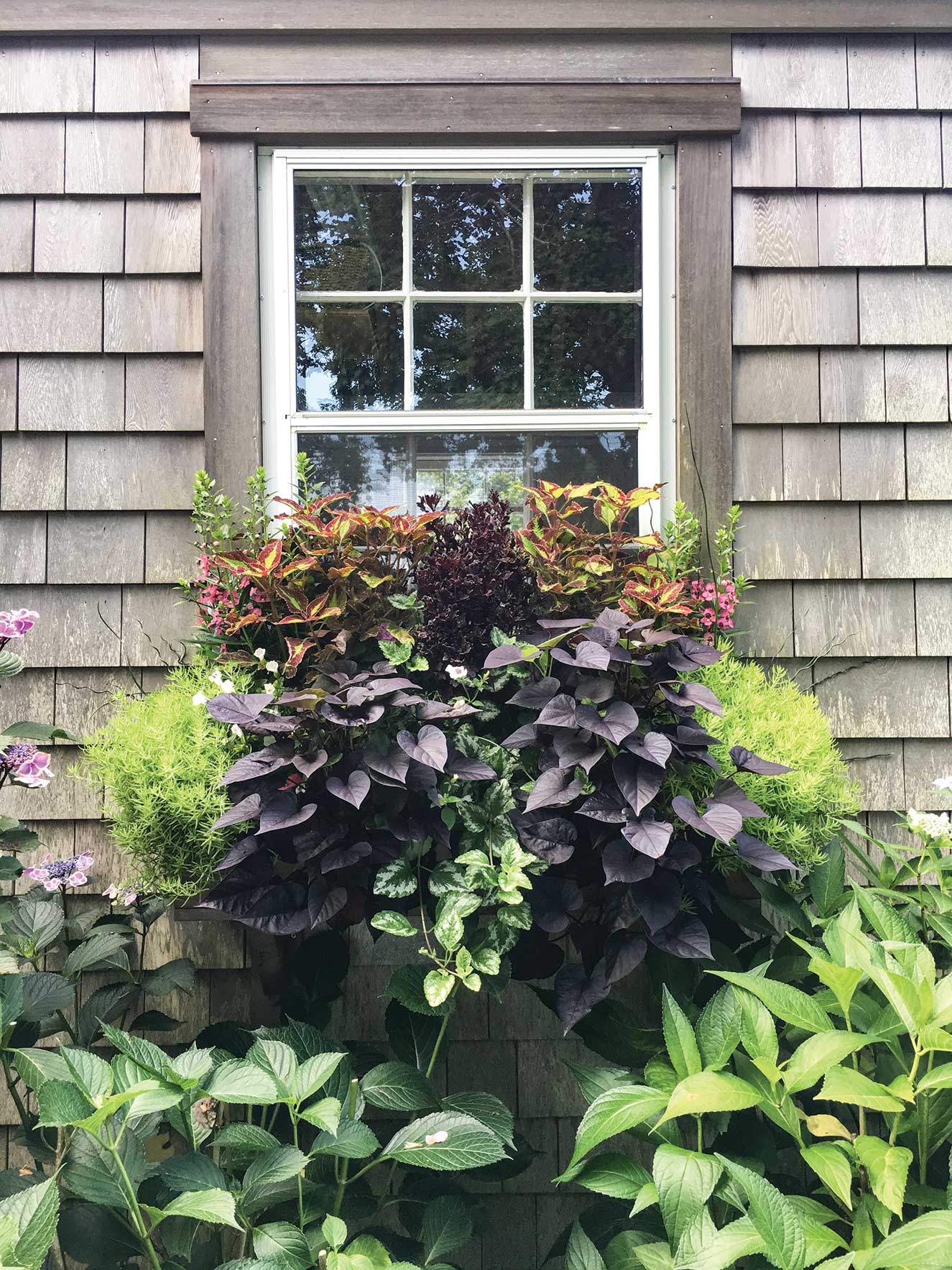 Pops of Color