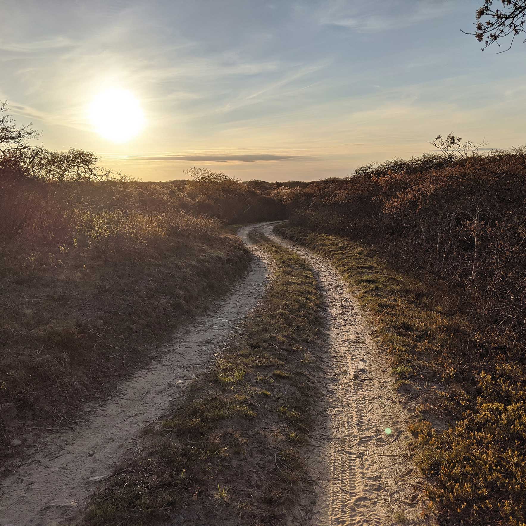 Winter Walks on Cape Cod and the Islands
