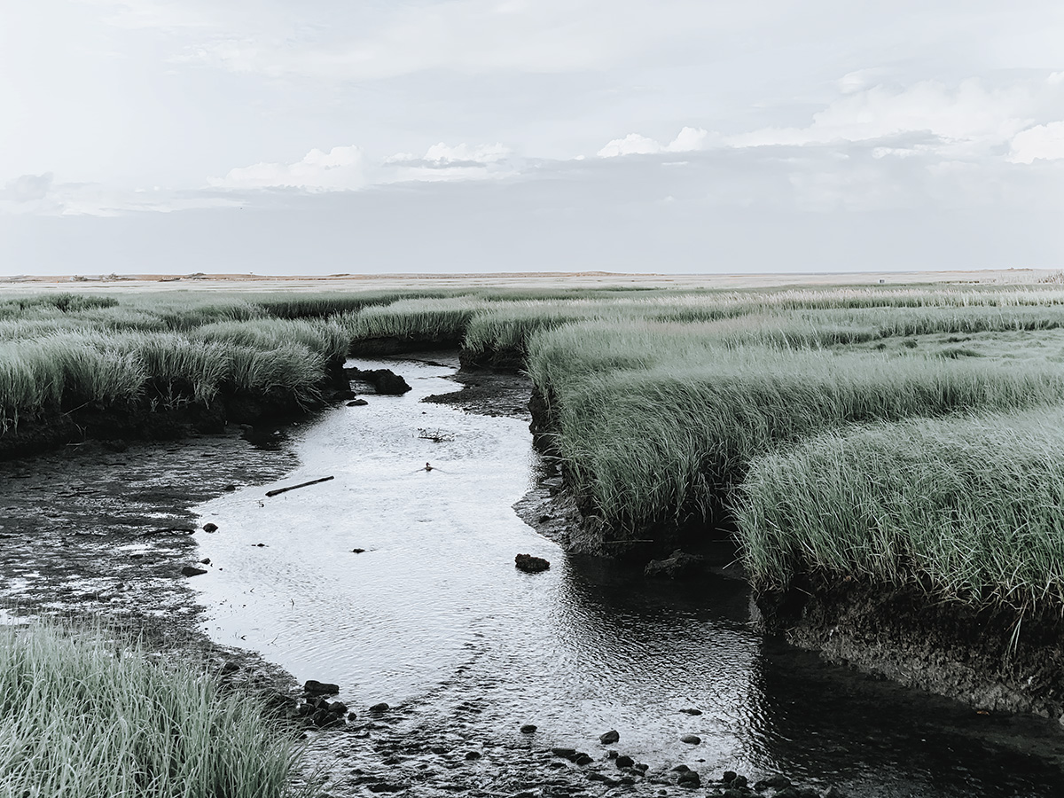 Off Season Travel – Upper Cape