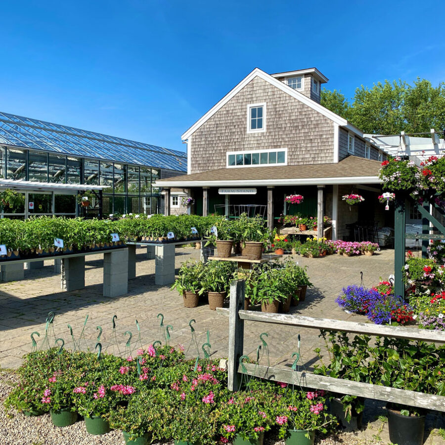 Farm-Stand-Summer-2